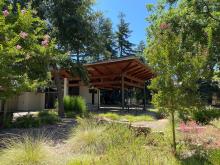 St. Martin’s Episcopal Church in Davis, California, became carbon neutral in 2021. The church has made efforts to remove grass and plant native, low-water plant species across its 2.6-acre campus.