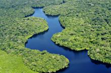 An aerial view of the Amazon rainforest, near Manaus, the capital of the Brazilian state of Amazonas (Flickr/CIAT/Neil Palmer)