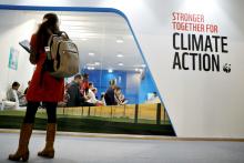 A woman watches an exhibition inside the venue of the U.N. climate change conference, or COP24, Dec. 8 in Katowice, Poland. (CNS/Reuters/Kacper Pempel)