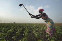 A woman works in a community garden in South Sudan in 2017. (CNS photo/Paul Jeffrey)