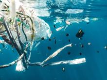 Underwater photo of fish near plastic waste (Unsplash/Naja Bertolt Jensen)