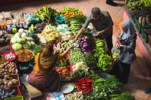 Knowing where our food comes from can help us feel more grateful for those who grow it and for the earth that sustains us, Catholic farmers say. (Alex Hudson/Unsplash)