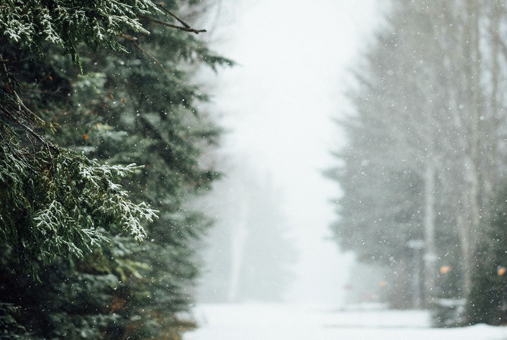 (Unsplash/Tim Foster) (Unsplash/Tim Foster)