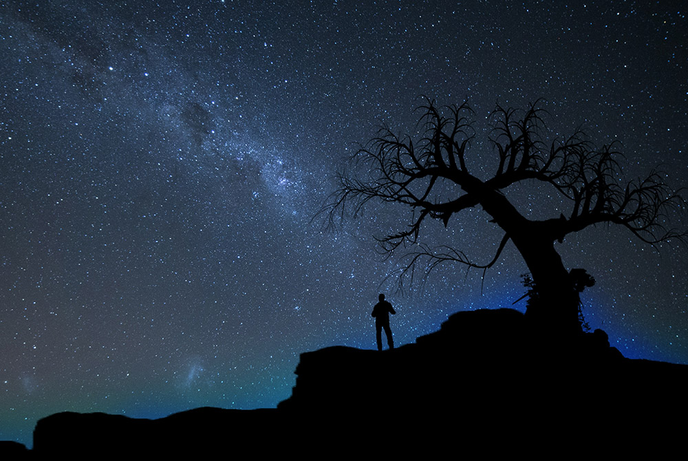 (Unsplash/Vincent Chin) (Unsplash/Vincent Chin)