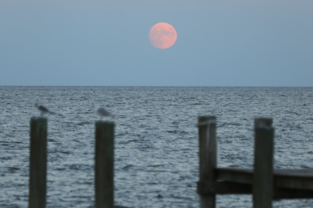 The moon rises over Maryland's Chesapeake Bay in Chesapeake Beach Sept. 20. (CNS/Bob Roller)