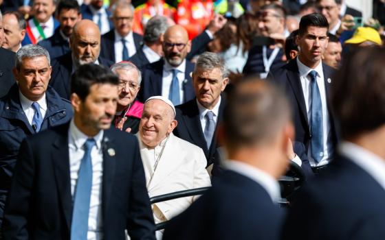 Pope Francis, framed by crowd, smiles in-focus